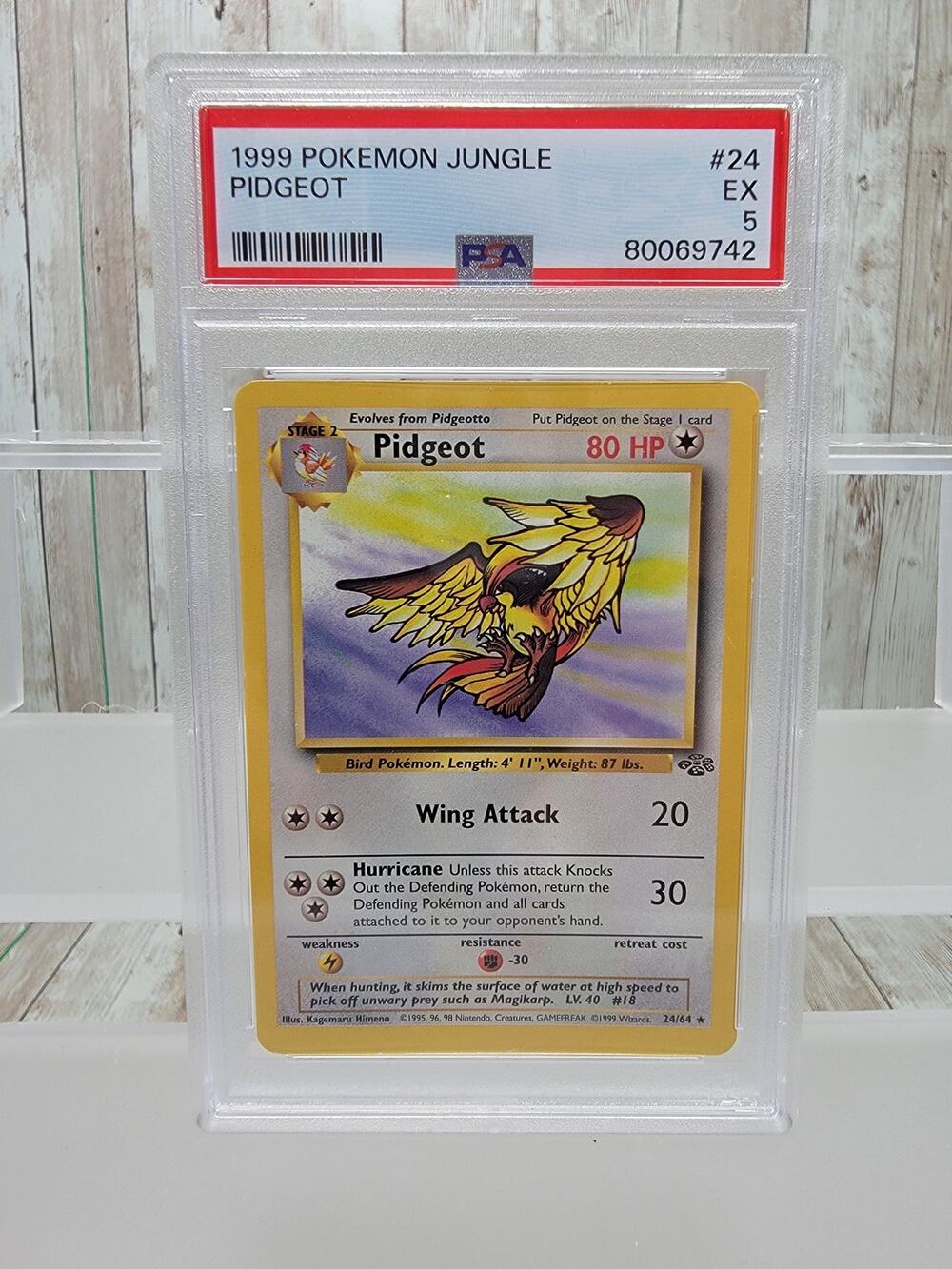 Pidgeot 24/64 Pokémon Jungle 1999 WOTC Rare Unlimited, PSA 5